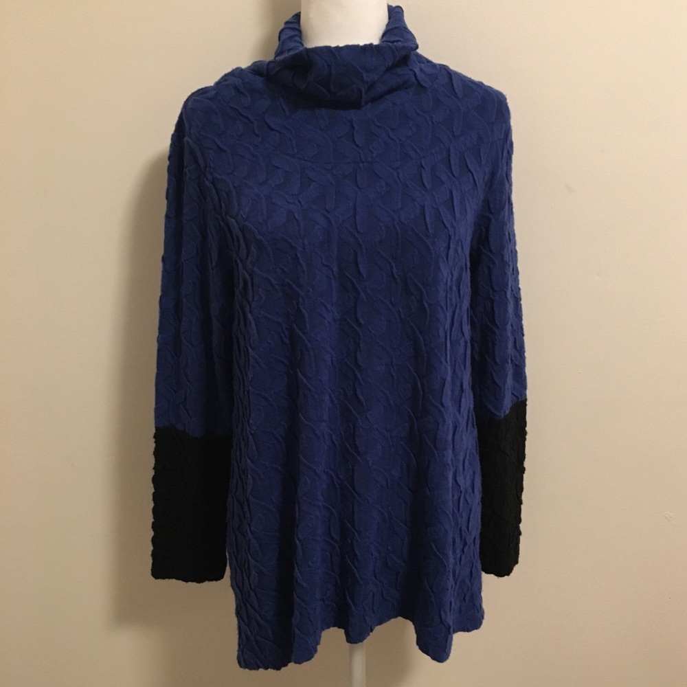 Trisha Tyler tunic top